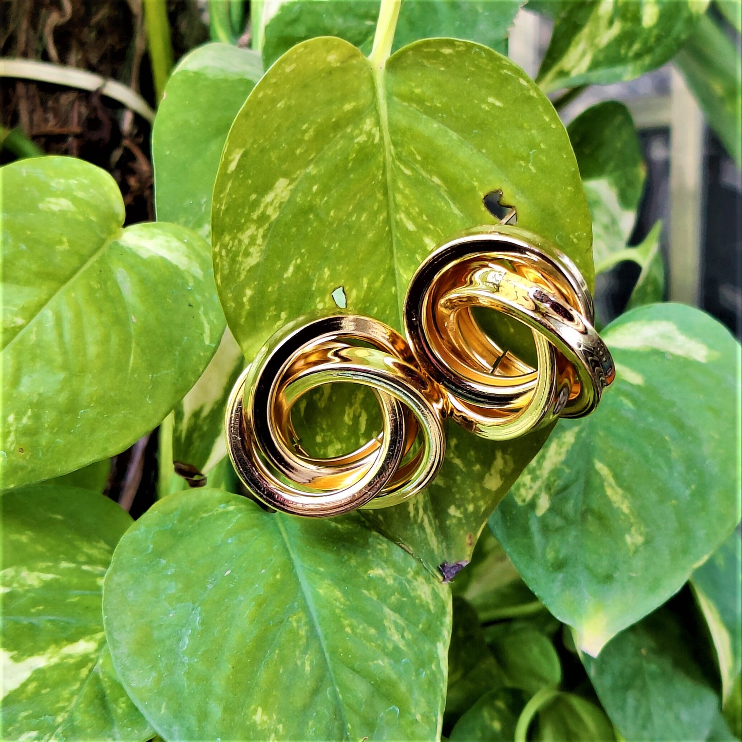 Golden Jalebi Studs Gold Earrings antitarnish casuals Ear Rings Earrings office party Trincket Jewellry Jewelry Jewellery