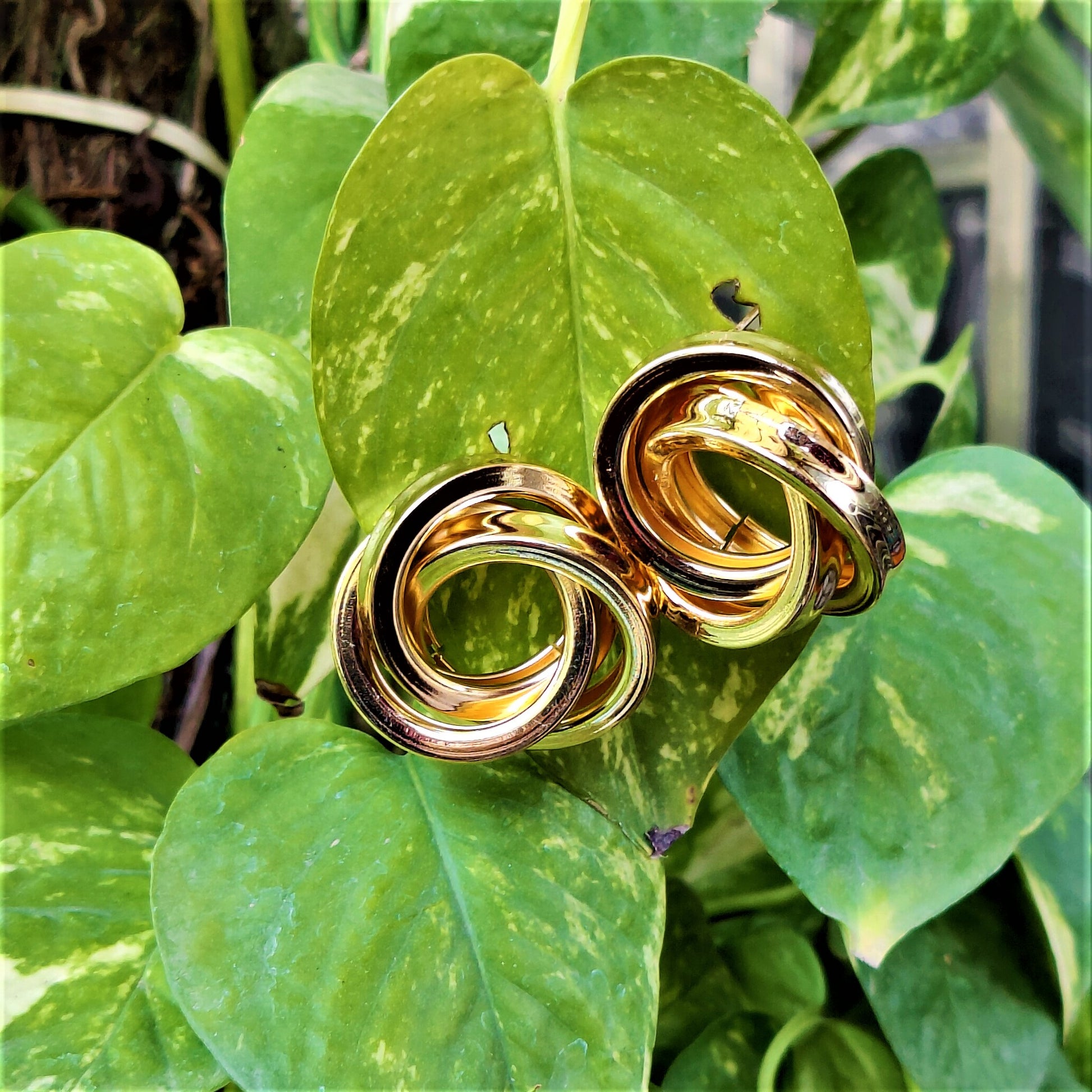 Golden Jalebi Studs Gold Earrings antitarnish casuals Ear Rings Earrings office party Trincket Jewellry Jewelry Jewellery