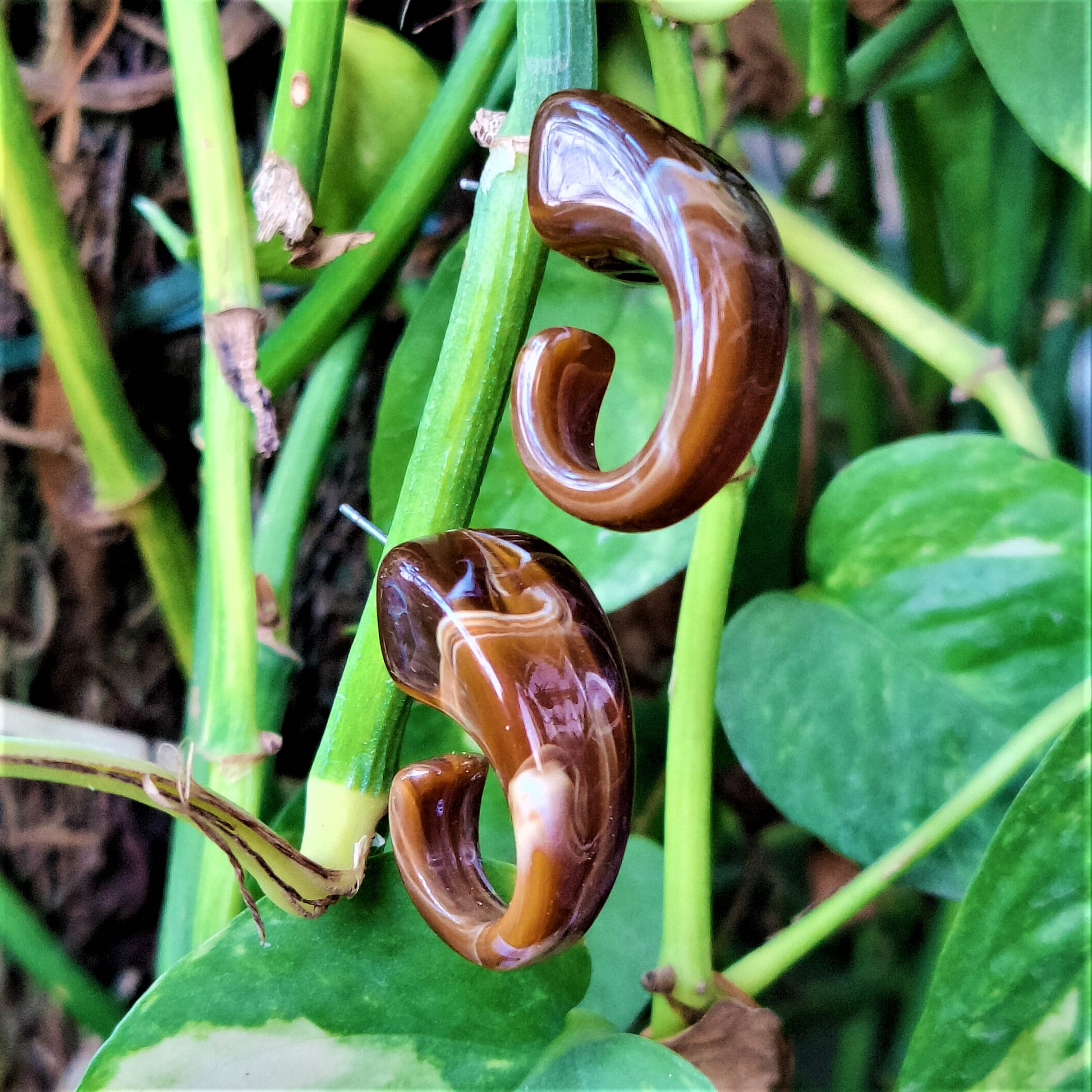 Trunk shaped Studs Brown Earrings casuals Ear Rings Earrings office Trincket Jewellry Jewelry Jewellery