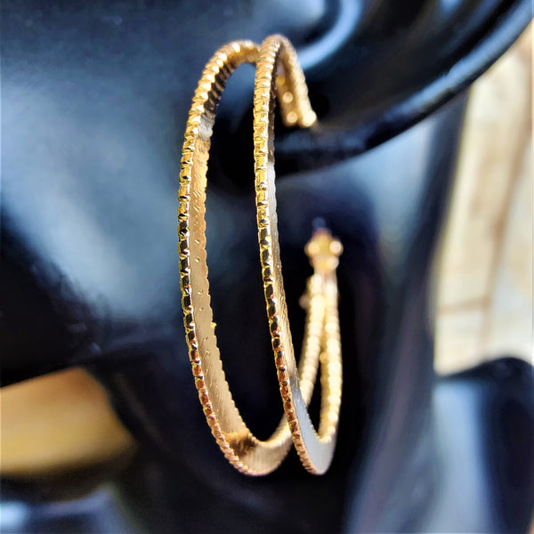 Golden Hoops Jewelry Ear Rings Earrings Trincket