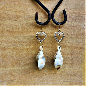 Sea Shell Earrings White Jewelry Ear Rings Earrings Trincket