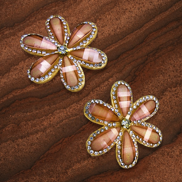 Flower and Stone Earrings Brown Jewelry Ear Rings Earrings Trincket